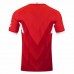 24-25 VfB Stuttgart Mens Away Soccer Jersey