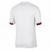 24-25 Paris Saint Germain Mens Away Jersey