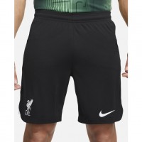 23-24 Liverpool FC Men's Away Shorts