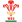 Wales National Rugby Team