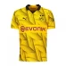 Borussia Dortmund Mens Cup Soccer Jersey 2023-24