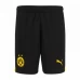 Borussia Dortmund Mens Home Shorts 2023