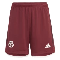 FC Bayern Mens Third Soccer Shorts 2023-24