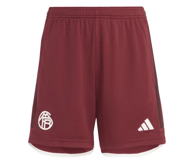 FC Bayern Mens Third Soccer Shorts 2023-24