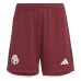 FC Bayern Mens Third Soccer Shorts 2023-24