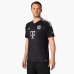 FC Bayern Mens Goalkeeper Soccer Jersey 2023