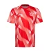 FC Bayern Mens Pre Match Soccer Jersey 2023