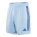 FC Schalke 04 Mens Away Soccer Shorts 2023-24