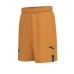 TSG Mens Third Soccer Shorts 2023-24