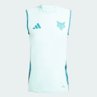 Cruzeiro Mens Training Tank Top 2025