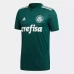 Palmeiras 2018 2019 Home Soccer Jersey