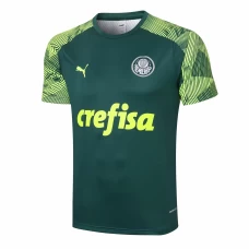 Palmeiras Training 2020 Soccer Jersey