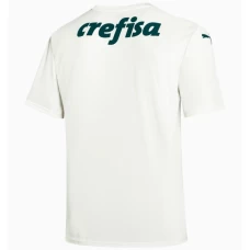 Palmeiras Away Soccer Jersey 2022-23