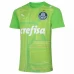 Palmeiras Goalkeeper Soccer Jersey Green 2021 2022