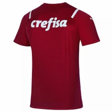 Palmeiras Goalkeeper Soccer Jersey Red 2021 2022