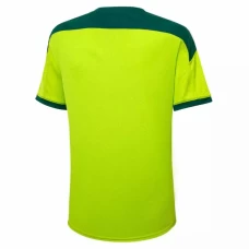 Palmeiras Training Soccer Jersey Green 2021 2022