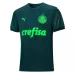 Palmeiras 2020 Third Soccer Jersey