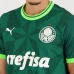 Palmeiras 2023 Mens Home Jersey