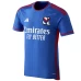 Olympique Lyonnais Men's Away Soccer Jersey 2023