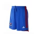 Olympique Lyonnais Men's Away  Soccer Shorts 2023