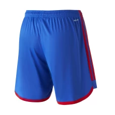 Olympique Lyonnais Women's Home Soccer Shorts 2023