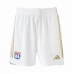 Olympique Lyon Mens Home Soccer Shorts 2023