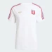 Olympique Lyonnais Men's Anniversary Shirt 2025-26