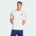 Olympique Lyonnais Men's Anniversary Shirt 2025-26