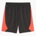 Stade Rennais Mens Home Soccer Shorts 2023