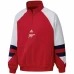 Arsenal Mens Icon Raglan Quarter Zip Soccer Top 2023