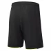 Burnley FC Men‘s Third Soccer Shorts 2023-24