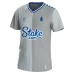 Everton Men's Third Soccer Jersey 2023-24