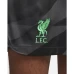 Liverpool FC Black Goalkeeper Soccer Shorts 2023-24