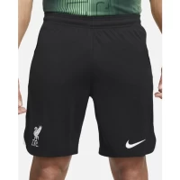 Liverpool FC Men's Away Soccer Short 2023-24