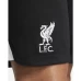 Liverpool FC Men's Away Soccer Shorts 2023-24