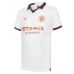 Manchester City Men's Away Soccer Jersey 2023-24