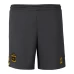 Southampton FC Men's Third Soccer Shorts 2023-24