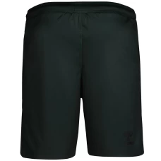 Southampton FC Third Soccer Shorts 2022-23