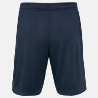 Tottenham Hotspur Men's Away Soccer Shorts 2023-24