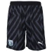 West Bromwich Albion Fc Men's Goalkeeper Soccer Shorts 2023-24