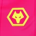 Wolverhampton Wanderers Goalkeeper Home Soccer Jersey 2023-24