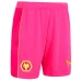 Wolverhampton Wanderers Goalkeeper Home Soccer Shorts 2023-24