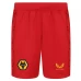 Wolverhampton Wanderers Men's Away Soccer Shorts 2023-24