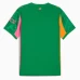 Manchester City Mens Goalkeeper Green Jersey 2025-26