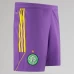 Celtic Goalkeeper Third Soccer Shorts 2023-24