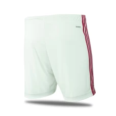 Celtic Third Shorts 2021-22