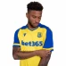 Stoke City Men's Third Soccer Jersey 2023-24