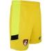 AFC Bournemouth Yellow Goalkeeper Soccer Shorts 2023-24