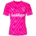 Blackpool Fc Goalkeeper Away Soccer Jersey 2023-24