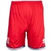 Middlesbrough FC Men's Home Soccer Shorts 2023-24